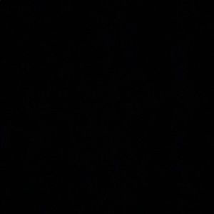 Meet your Posher, Martha